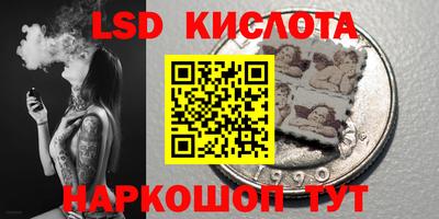 СК Кандалакша