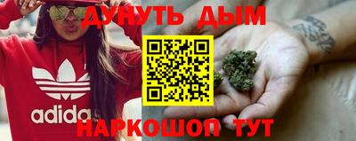 дурь Камышлов