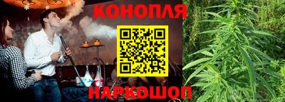 дурь Камышлов