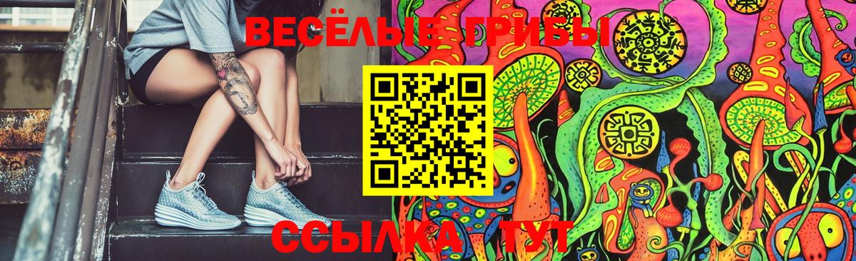 Георгиевск  Галлюциногенные грибы MAGIC MUSHROOMS  Псилоцибиновые грибы MAGIC MUSHROOMS  Вход с VPN 